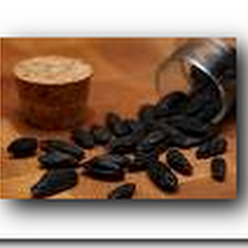 Counterfeit Fish, Olive Oil, Vanilla and more here in the US